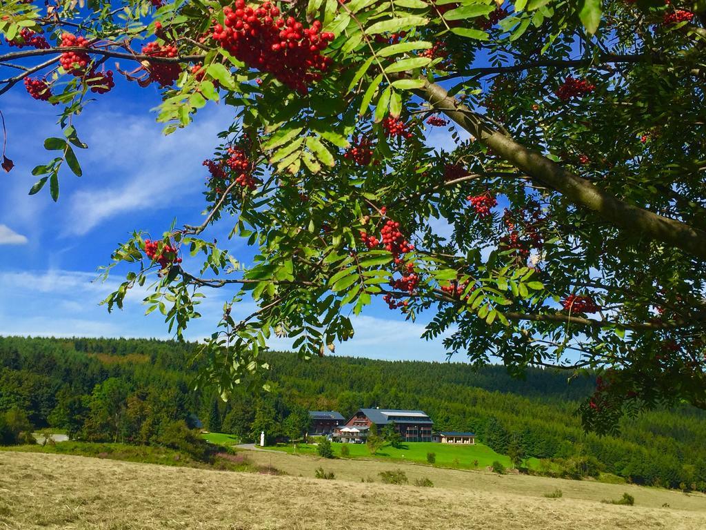 Hotel Jens Weissflog Oberwiesenthal Exterior foto